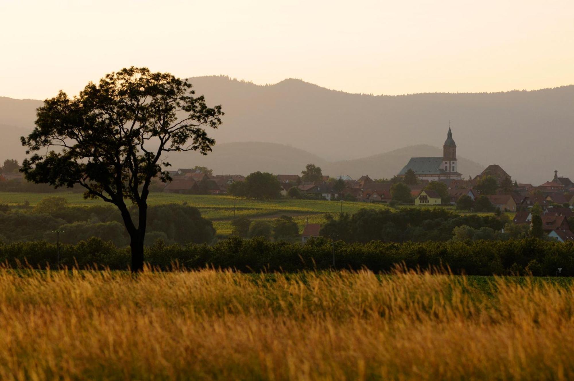 Gite Jeanne Familial - Calme - Parking Ebersheim ภายนอก รูปภาพ