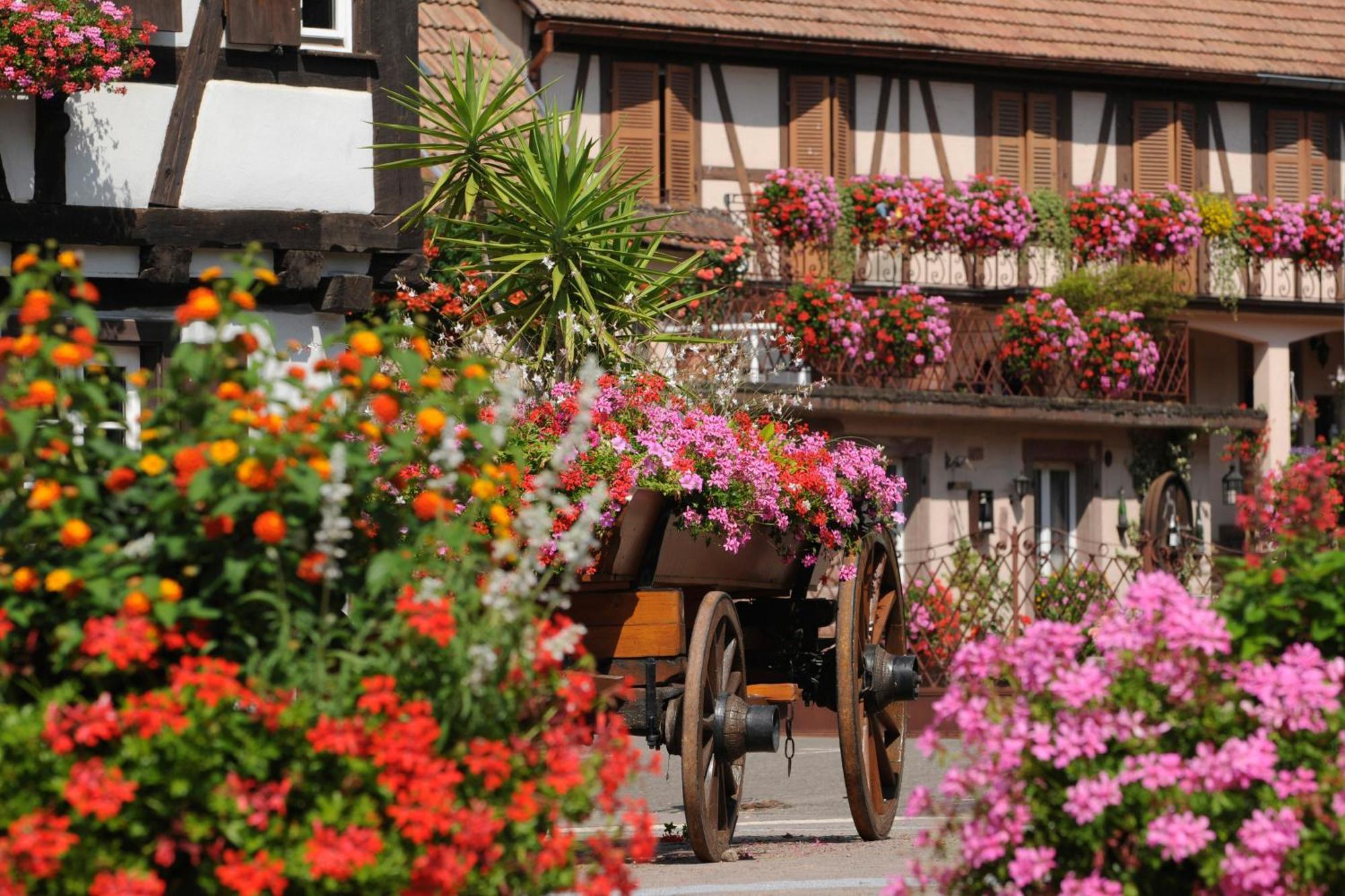 Gite Jeanne Familial - Calme - Parking Ebersheim ภายนอก รูปภาพ